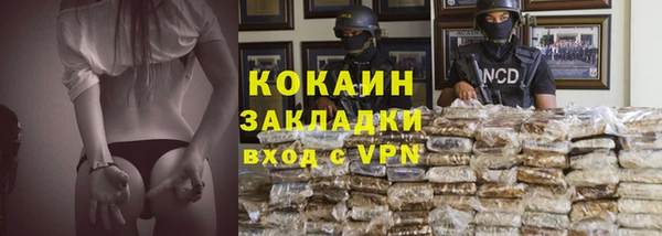 ГАЛЛЮЦИНОГЕННЫЕ ГРИБЫ Богданович