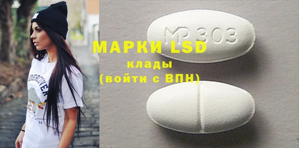 мдпв Елабуга