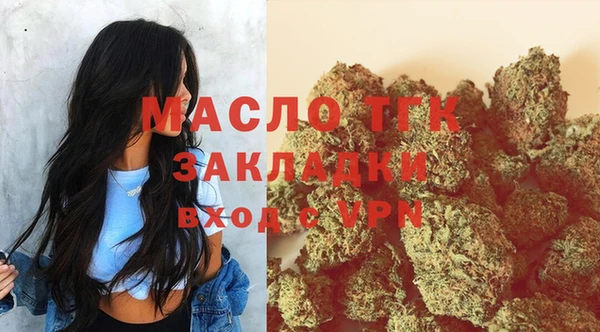 мдпв Бородино