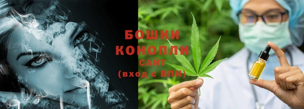 PSILOCYBIN Беломорск