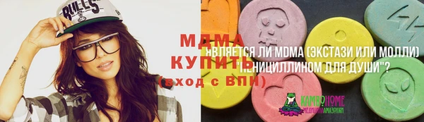 мдпв Бородино