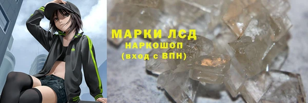 ГАЛЛЮЦИНОГЕННЫЕ ГРИБЫ Богданович