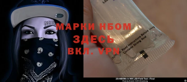 мдпв Бородино
