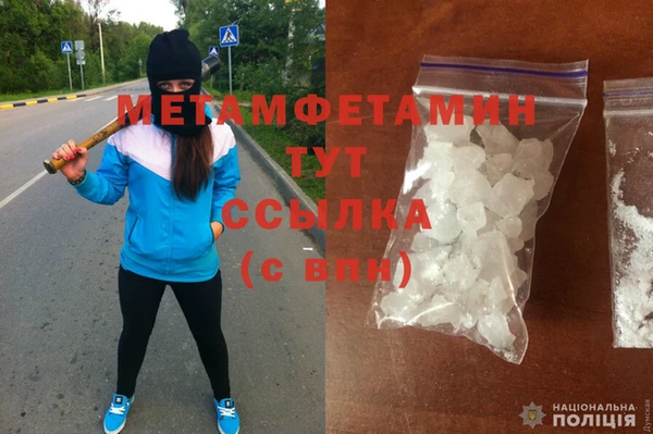ГАЛЛЮЦИНОГЕННЫЕ ГРИБЫ Богданович