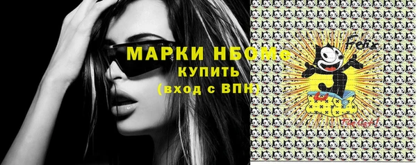 мдпв Бородино