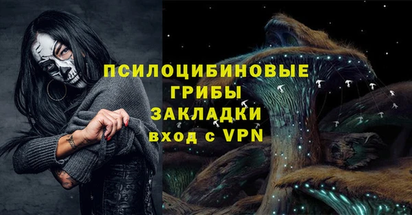 спиды Богородицк