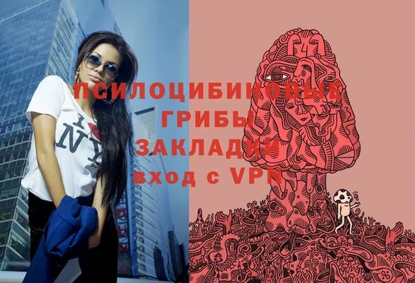 mdpv Елизово