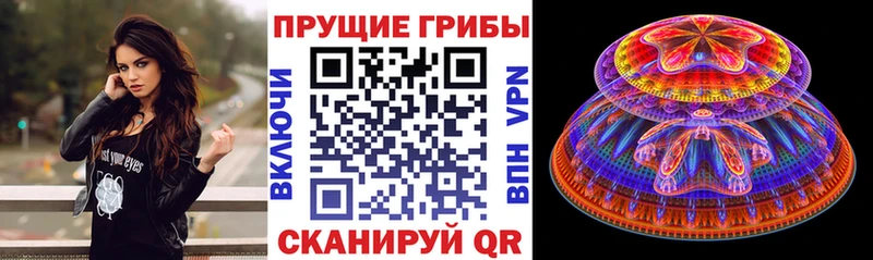 Псилоцибиновые грибы Psilocybe купить Старица