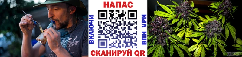 Шишки марихуана VHQ  kraken ссылки  Старица  где можно купить наркотик 